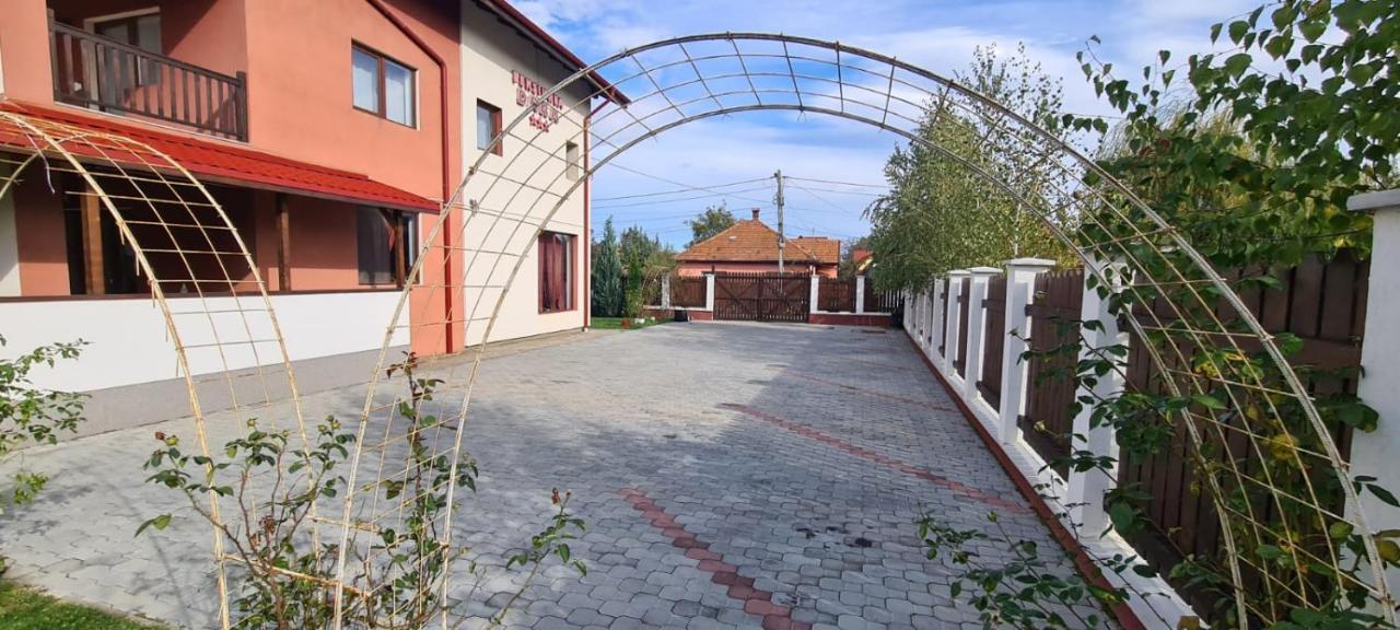Pensiunea Dara Rîşnov Buitenkant foto