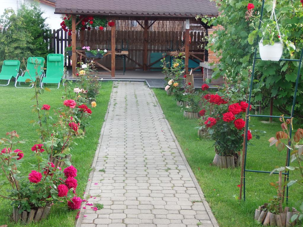 Pensiunea Dara Rîşnov Buitenkant foto